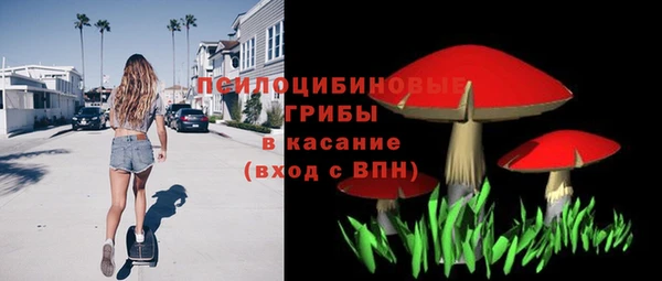 герыч Арсеньев