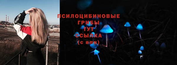 герыч Арсеньев