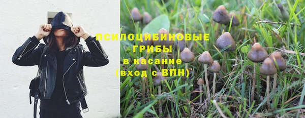 герыч Аркадак